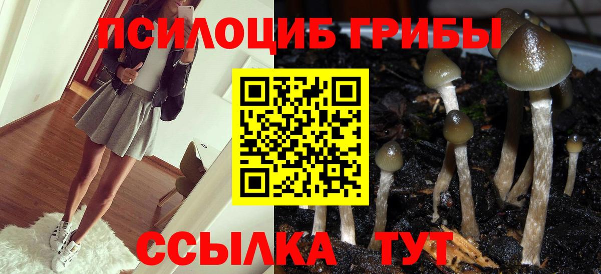  COCAIN Волгоград