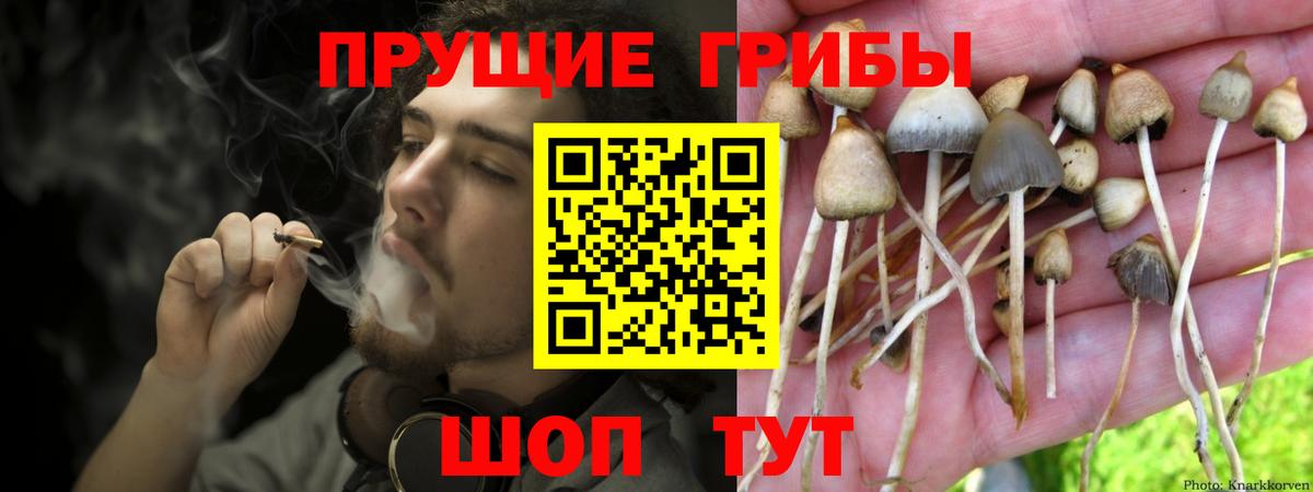 Галлюциногенные грибы MAGIC MUSHROOMS Волгоград